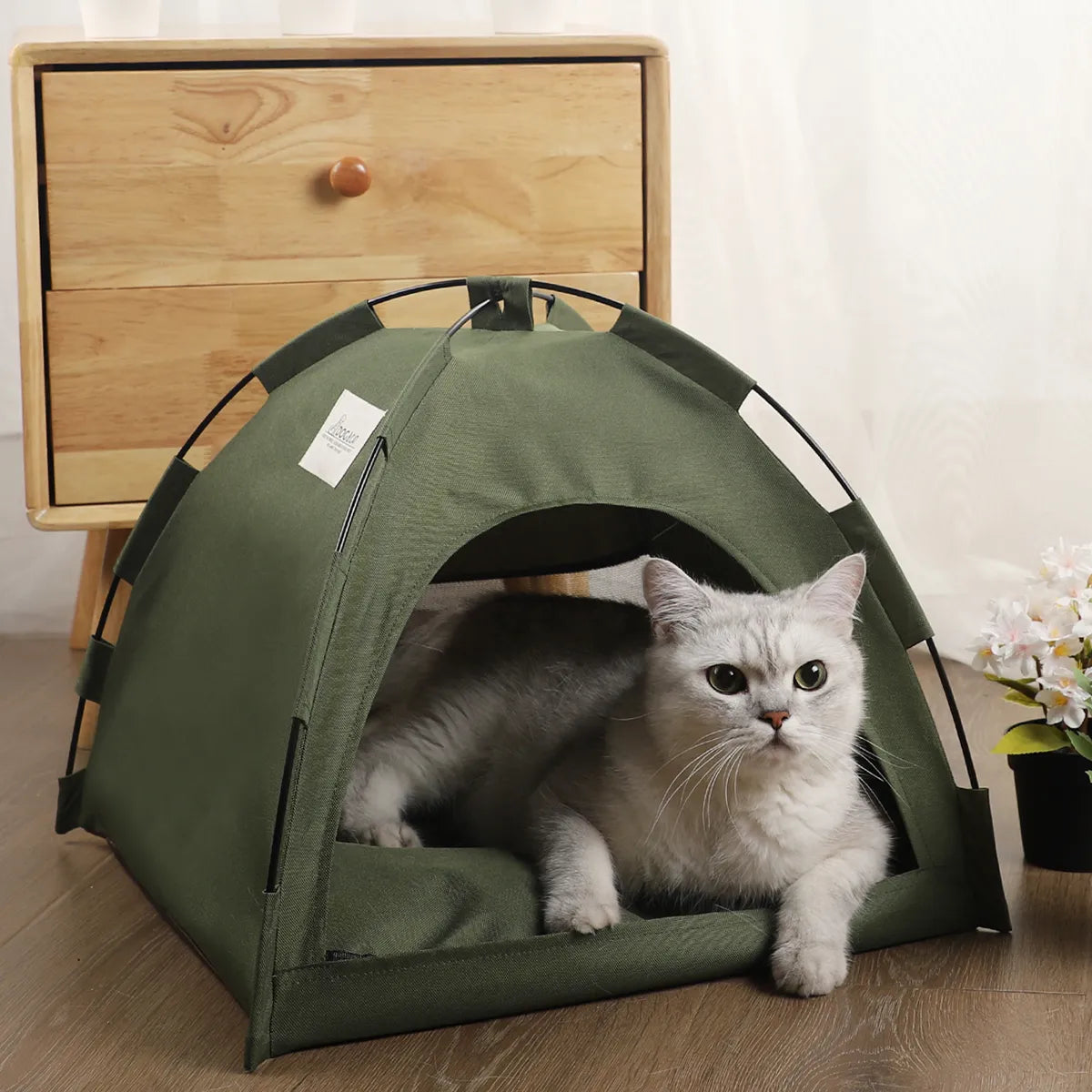 Tent for Cats & Dogs