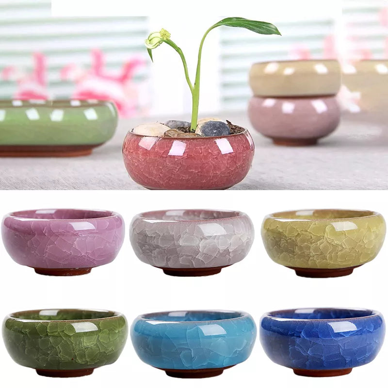 Ceramic Planting Pot for Bonsai or Flowers