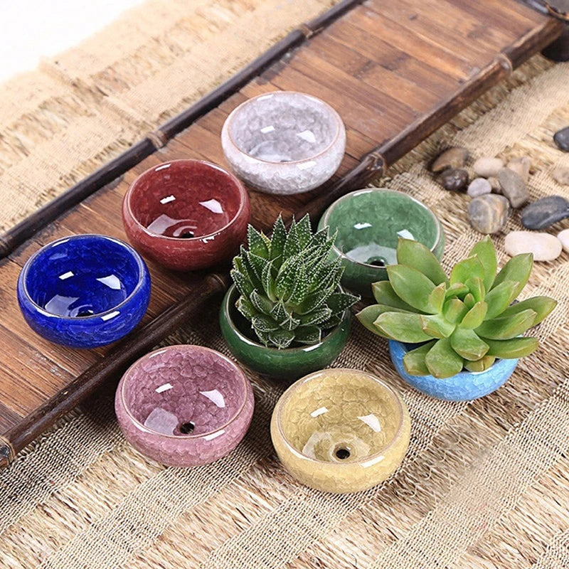 Ceramic Planting Pot for Bonsai or Flowers