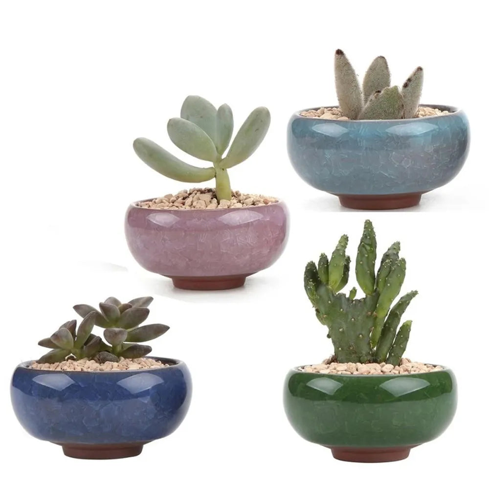 Ceramic Planting Pot for Bonsai or Flowers