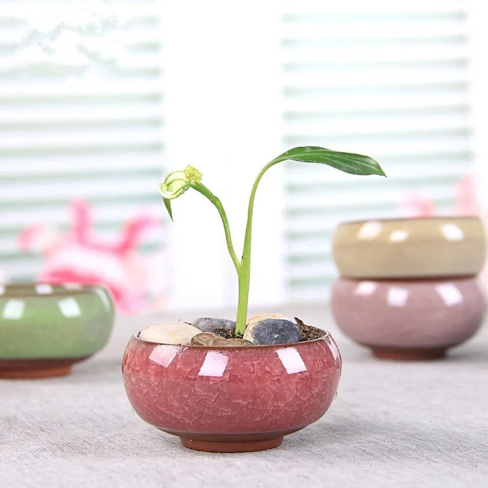 Ceramic Planting Pot for Bonsai or Flowers